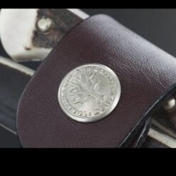 Boker Arbolito Salida Stag Fixed Blade -Petromaxi Shop 03ba501hhdet4 60301.1587413265