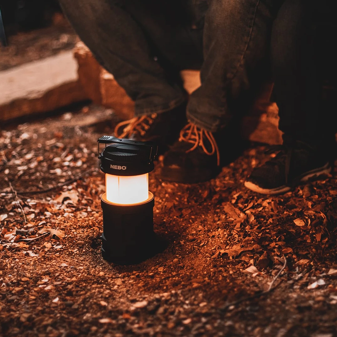 Nebo Big Poppy 5 Nebo Big Poppy - Image 3