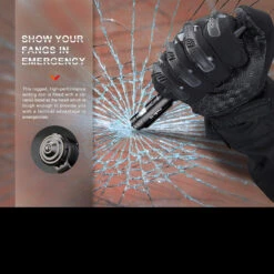 Fenix T6 Halberd V2 Pen Light -Petromaxi Shop FENIX T6 BK v201DET4 55151.1668682723.1280.1280 20982.1670406152.1280.1280 11970.1670421014