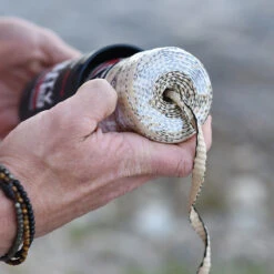 Rapid Rope Canister -Petromaxi Shop RRPC6010det5 05809.1640877901